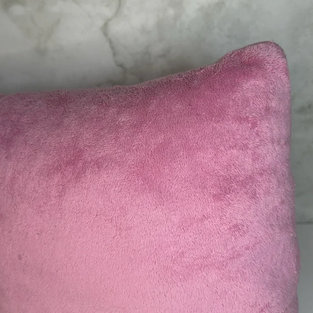 RARE Vintage Blues Clues Magenta Pink Plush Throw‎ Pillow Small 11